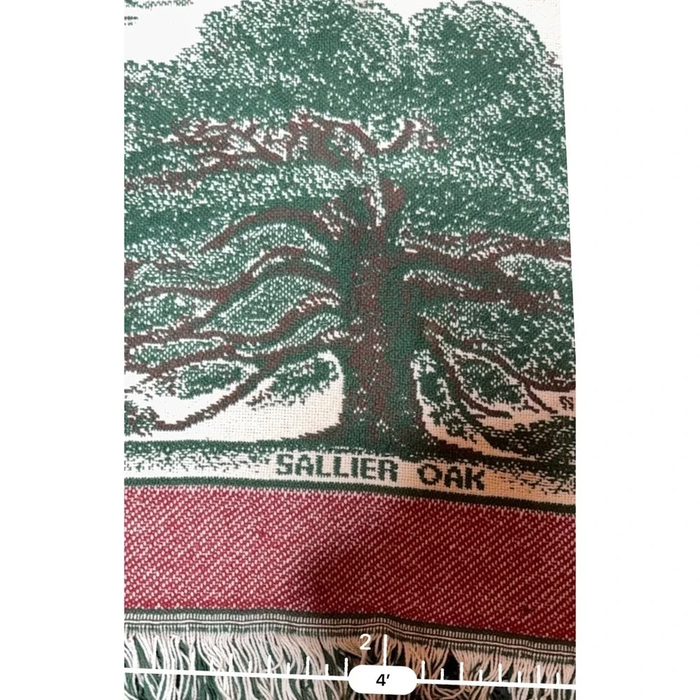 Unbranded Lake Charles Louisiana Throw Blanket OS Multi Excellent Woven Tapestry